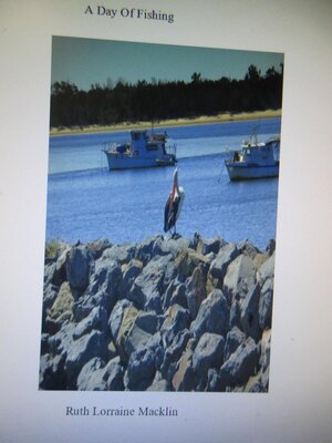 cover image of A Day of Fishing